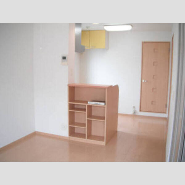 収納 (203 LDK(対面カウンター収納))