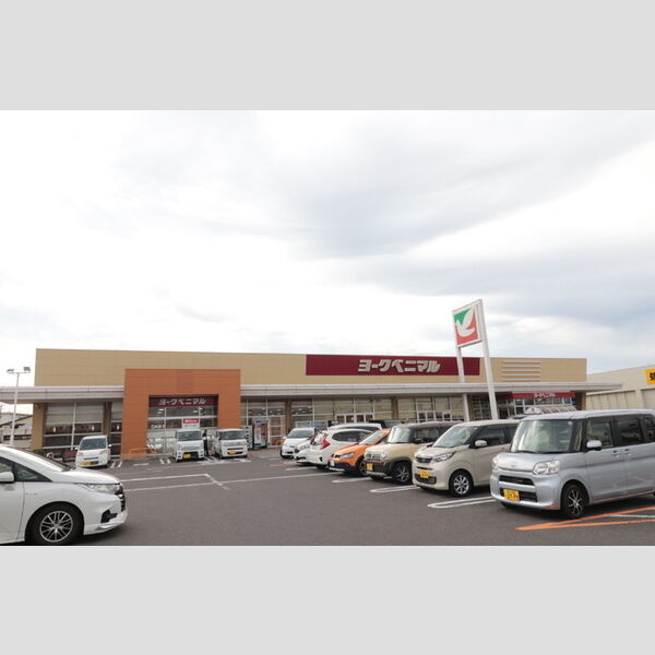 現地周辺 (ヨークベニマル希望ヶ丘店)