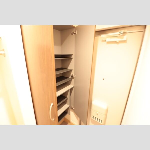 その他 (シューズボックス)