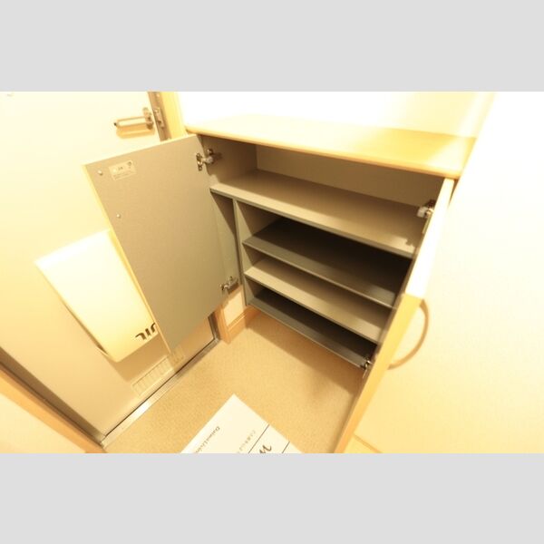 その他 (シューズボックス)