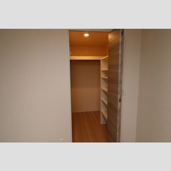 収納 (西側洋室クローゼット)