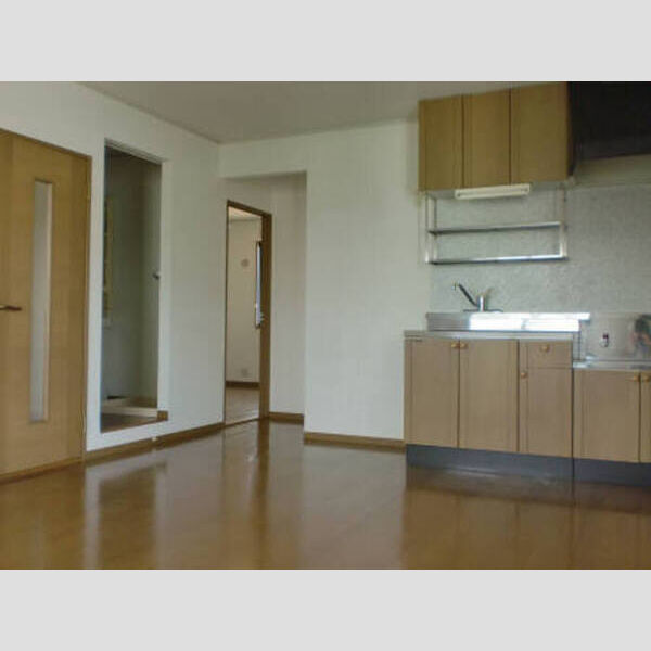 居室・リビング (広い12帖のLDK)