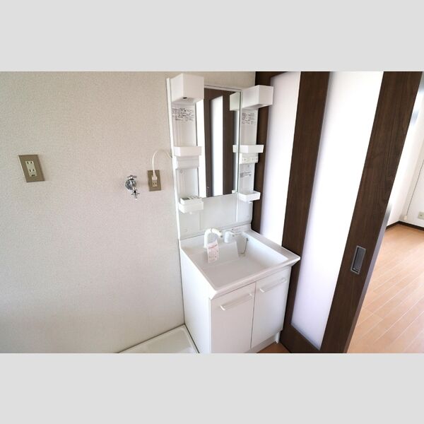 洗面所 (独立洗面台)