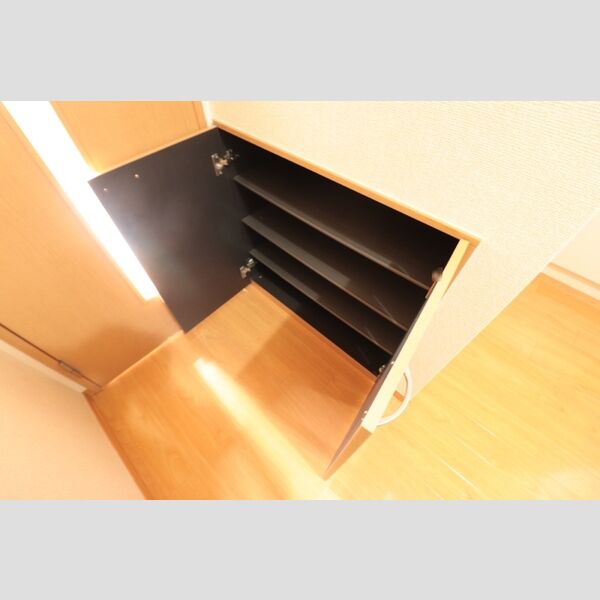 その他 (シューズボックス)