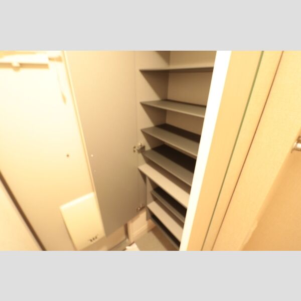 その他 (シューズボックス)