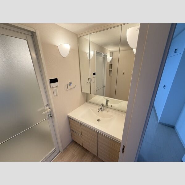 洗面所 (洗面化粧台)