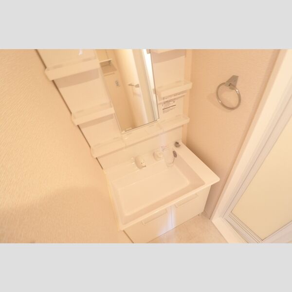 洗面所 (洗髪洗面化粧台)