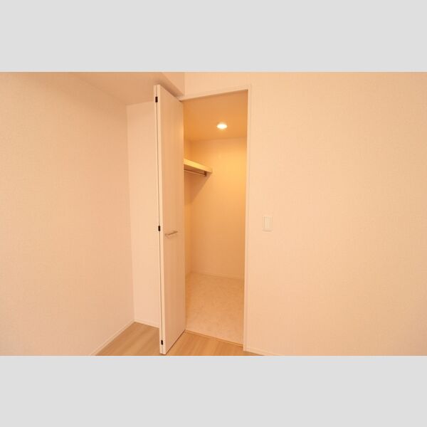 収納 (ウォークインクローゼット)