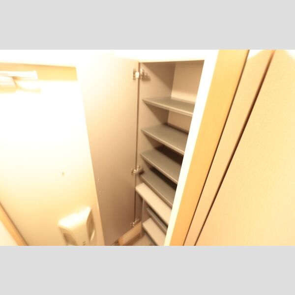 その他 (シューズボックス)