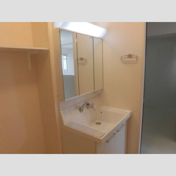 洗面所 (洗髪洗面化粧台)