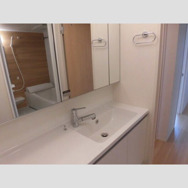 洗面所 (洗髪洗面化粧台)