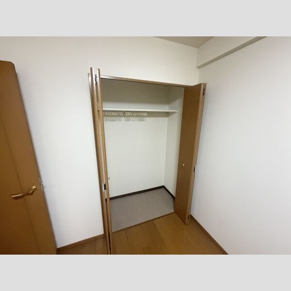 収納 (クローゼット)