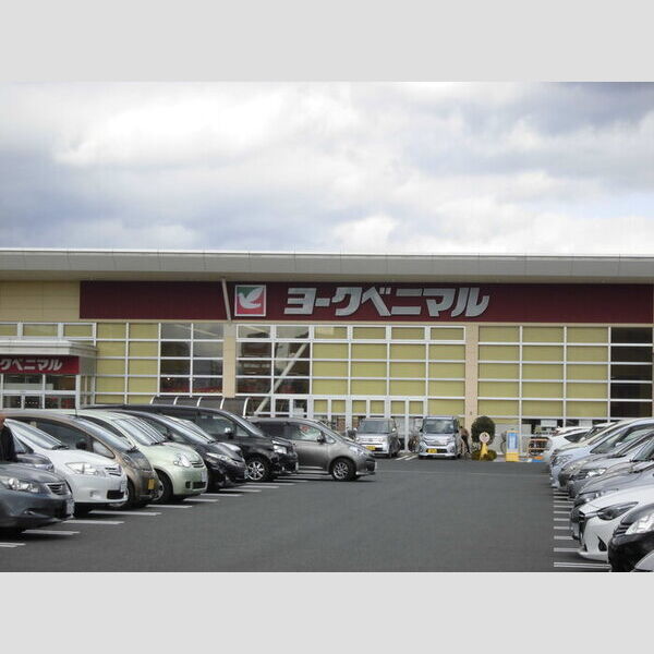 現地周辺 (ヨークベニマル)