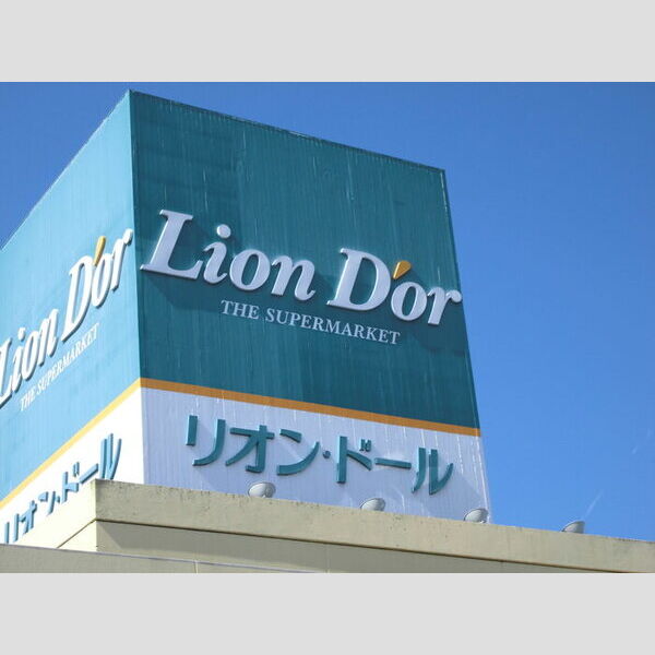 現地周辺 (リオンドール)