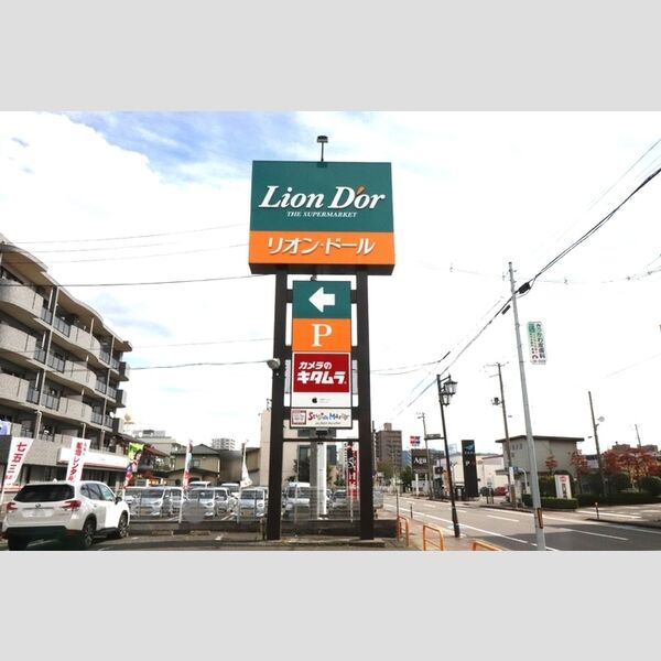 現地周辺 (リオン・ドール野田店286m)