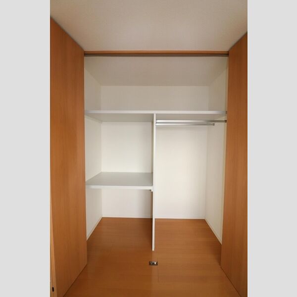 収納 (南東側洋室収納)