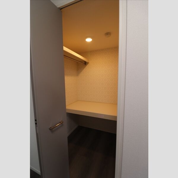 収納 (クローゼット)