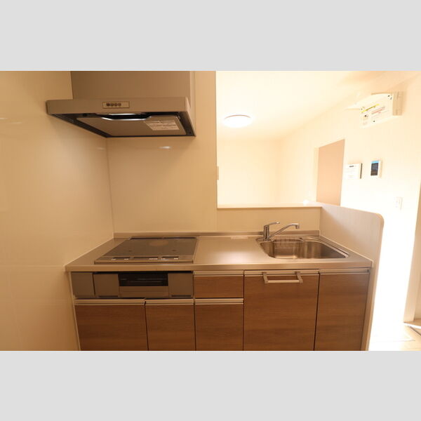 キッチン (IHクッキングヒーター付き対面式キッチン)