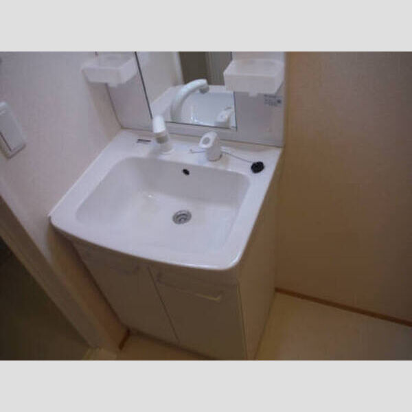 洗面所 (ファインビュー御山203 洗面)