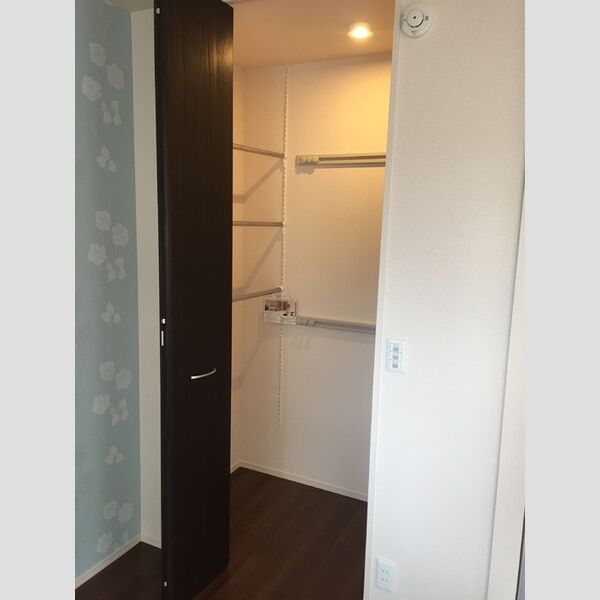 収納 (ワンステップクローゼット)