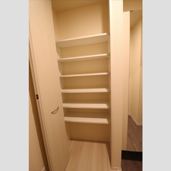 その他 (玄関収納)