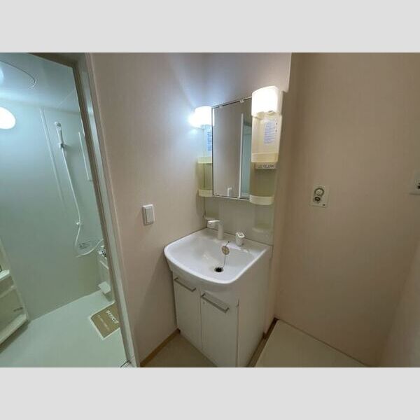 洗面所 (洗髪洗面化粧台)