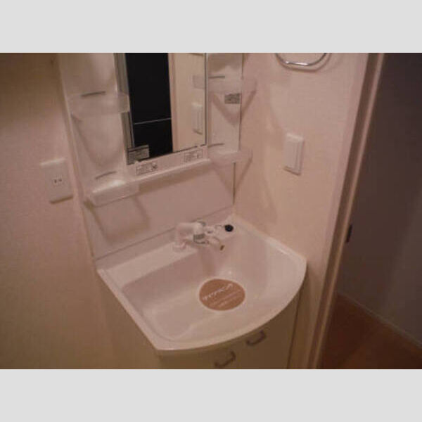 洗面所 (D-room平野202 洗面)