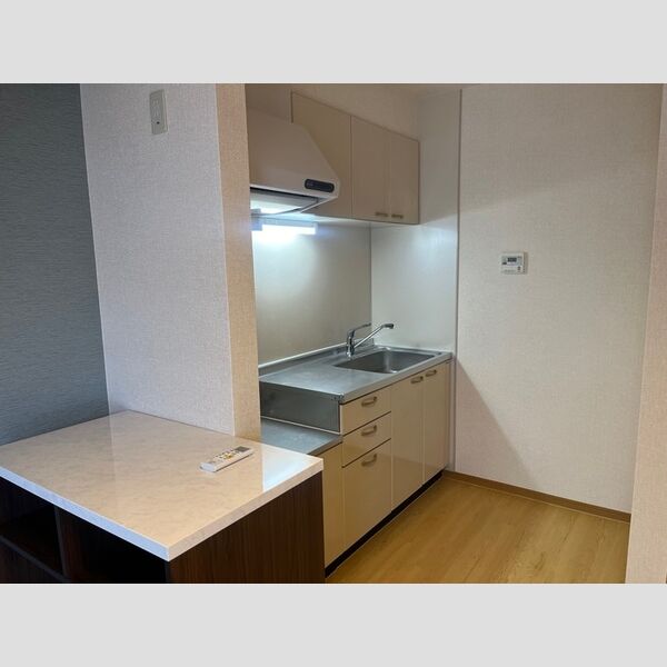 キッチン (カウンター収納付きキッチン)