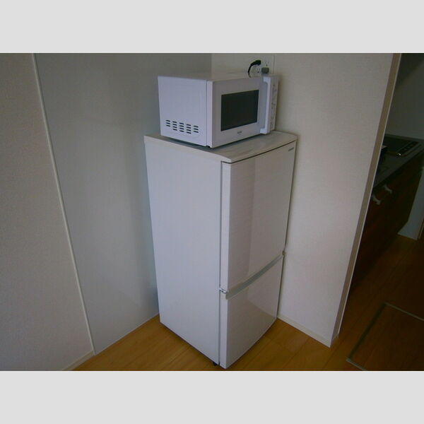 その他 (冷蔵庫・電子レンジ)