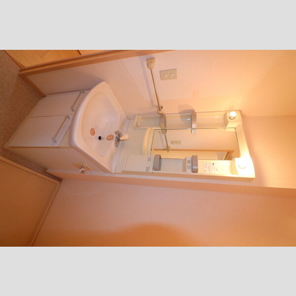 洗面所 (洗面所)