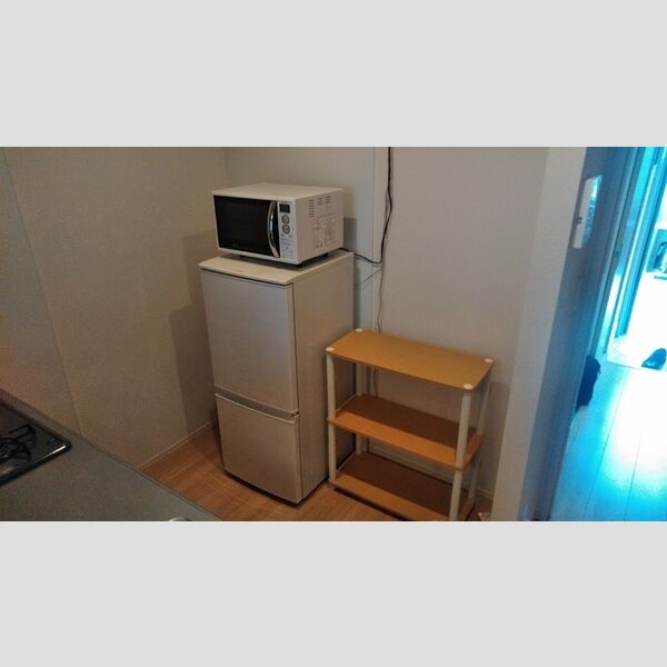 その他 (冷蔵庫　電子レンジ)