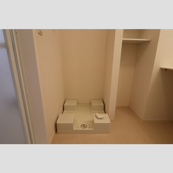 その他 (室内洗濯機置場)