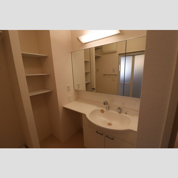 洗面所 (洗髪洗面化粧台)