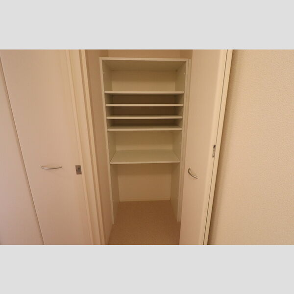 収納 (物入(洗面所))