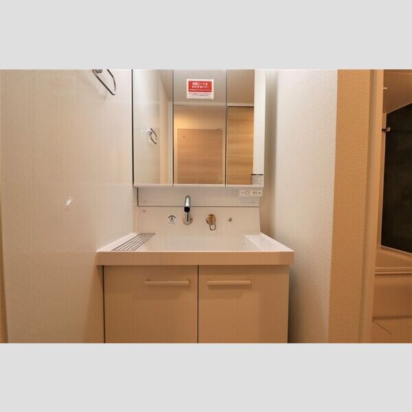 洗面所 (洗髪洗面化粧台)