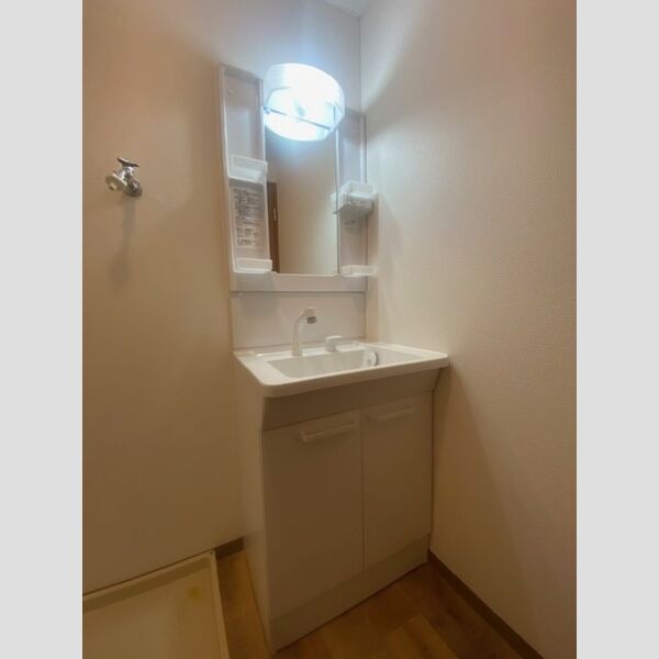 洗面所 (洗髪洗面化粧台)