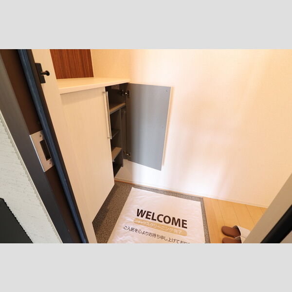 玄関 (シューズボックス)