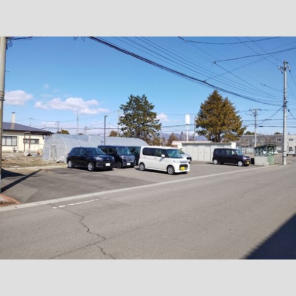 駐車場 (駐車場(縦列にて各世帯2台分づつ))