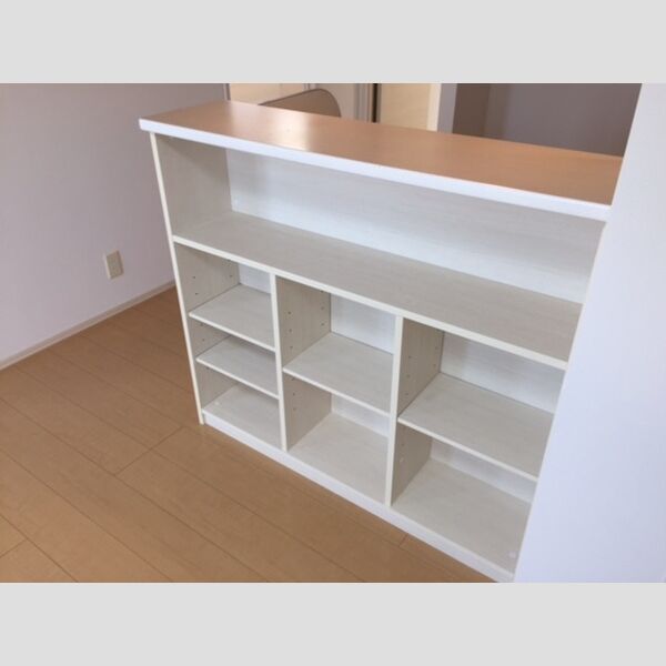 収納 (カウンターキッチン)