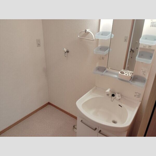 居室・リビング (洗髪洗面化粧台)