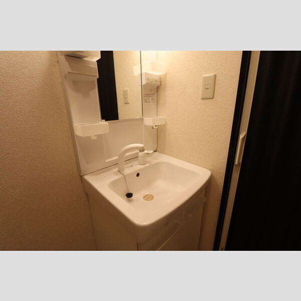 洗面所 (洗髪洗面化粧台)