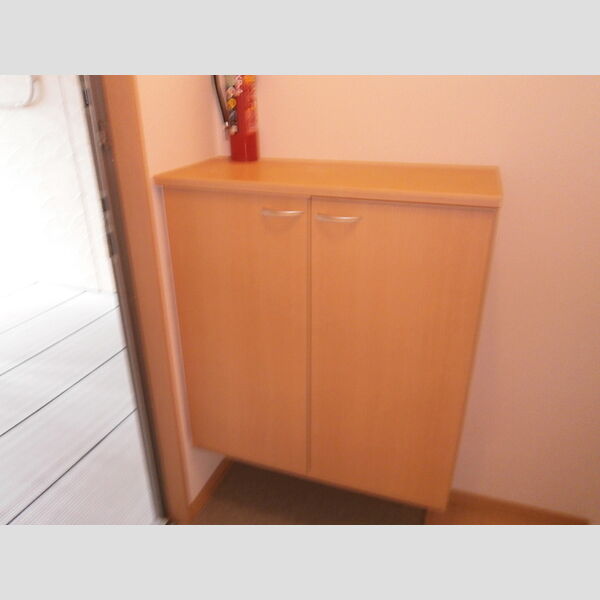 玄関 (シューズボックス)