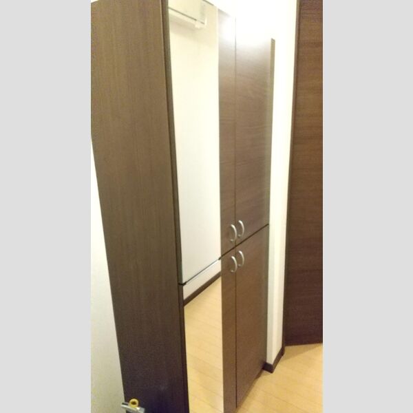 その他 (シューズボックス)