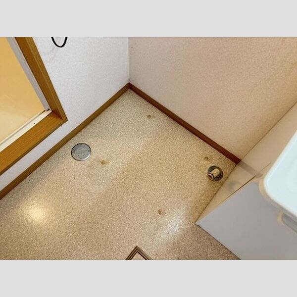 洗面所 (洗濯機置き場、水抜き栓)