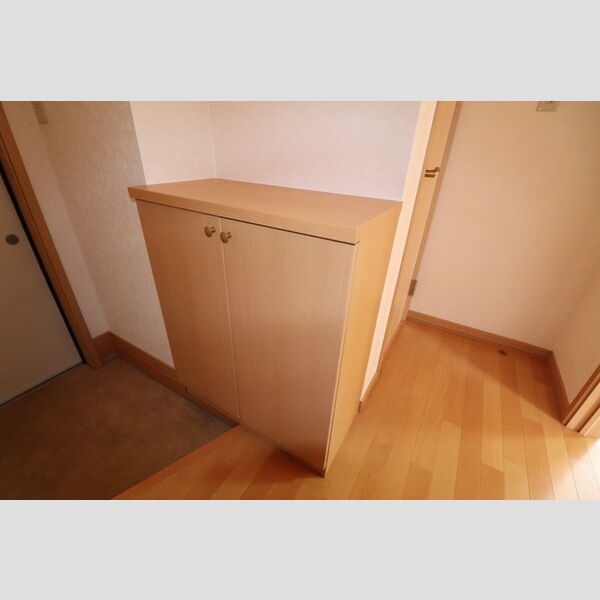 玄関 (シューズボックス)