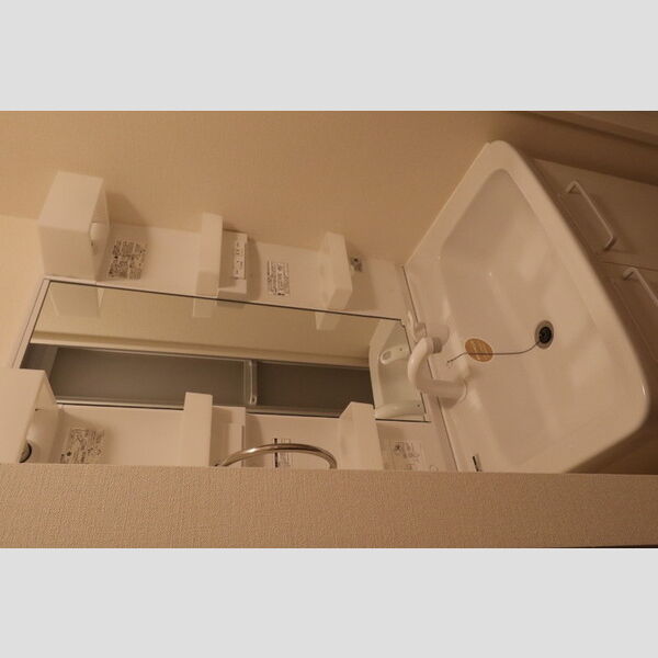 洗面所 (洗面所)