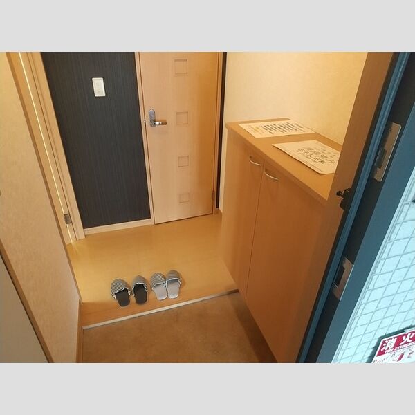 玄関 (下駄箱付き)