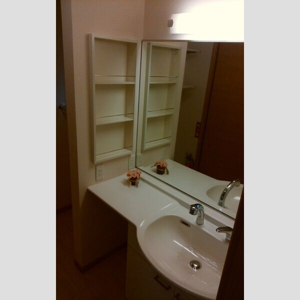 その他 (洗面所収納)