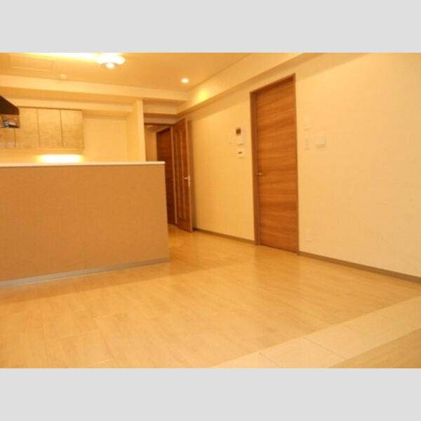 居室・リビング (LDK(13.2帖))