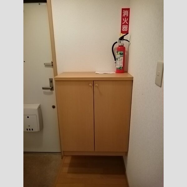 玄関 (シューズボックス(カウンタータイプ))